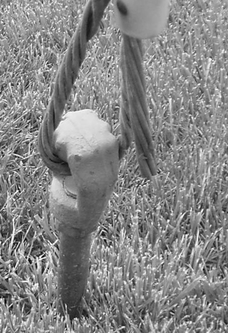 Distribution_Anchor2