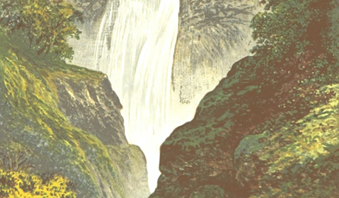 Web & Digital Design